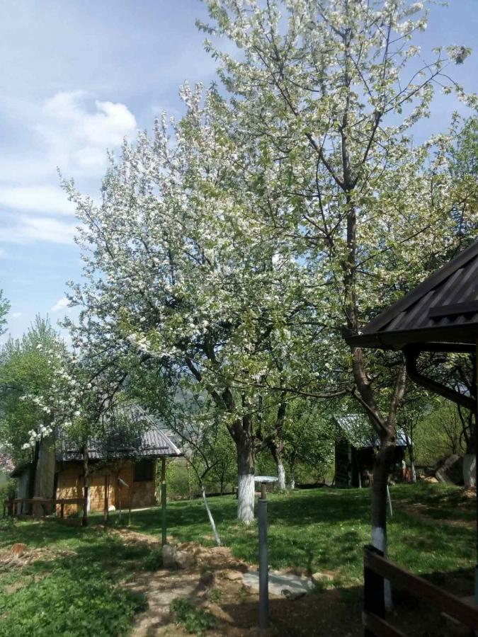 Bungalows Old Town Visoko Ngoại thất bức ảnh